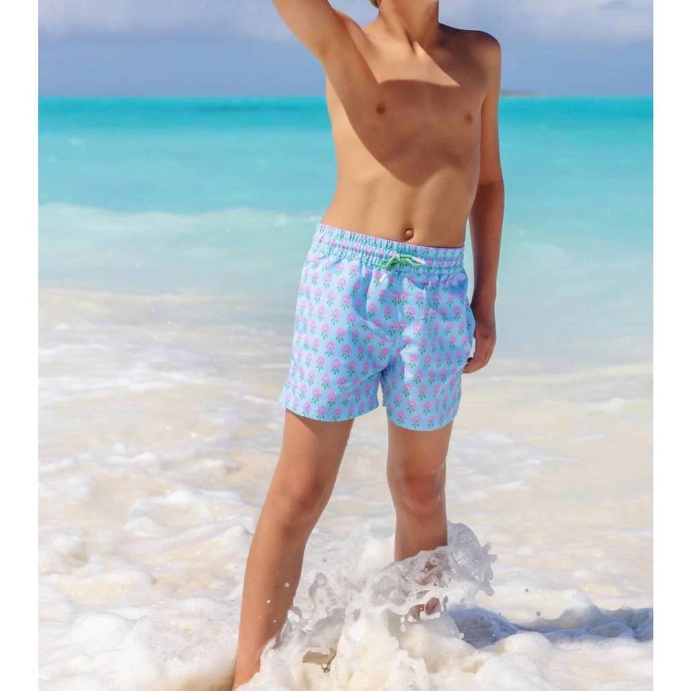 NEW BEAUFORT BONNET toddy swim trunks in holly hills hand block